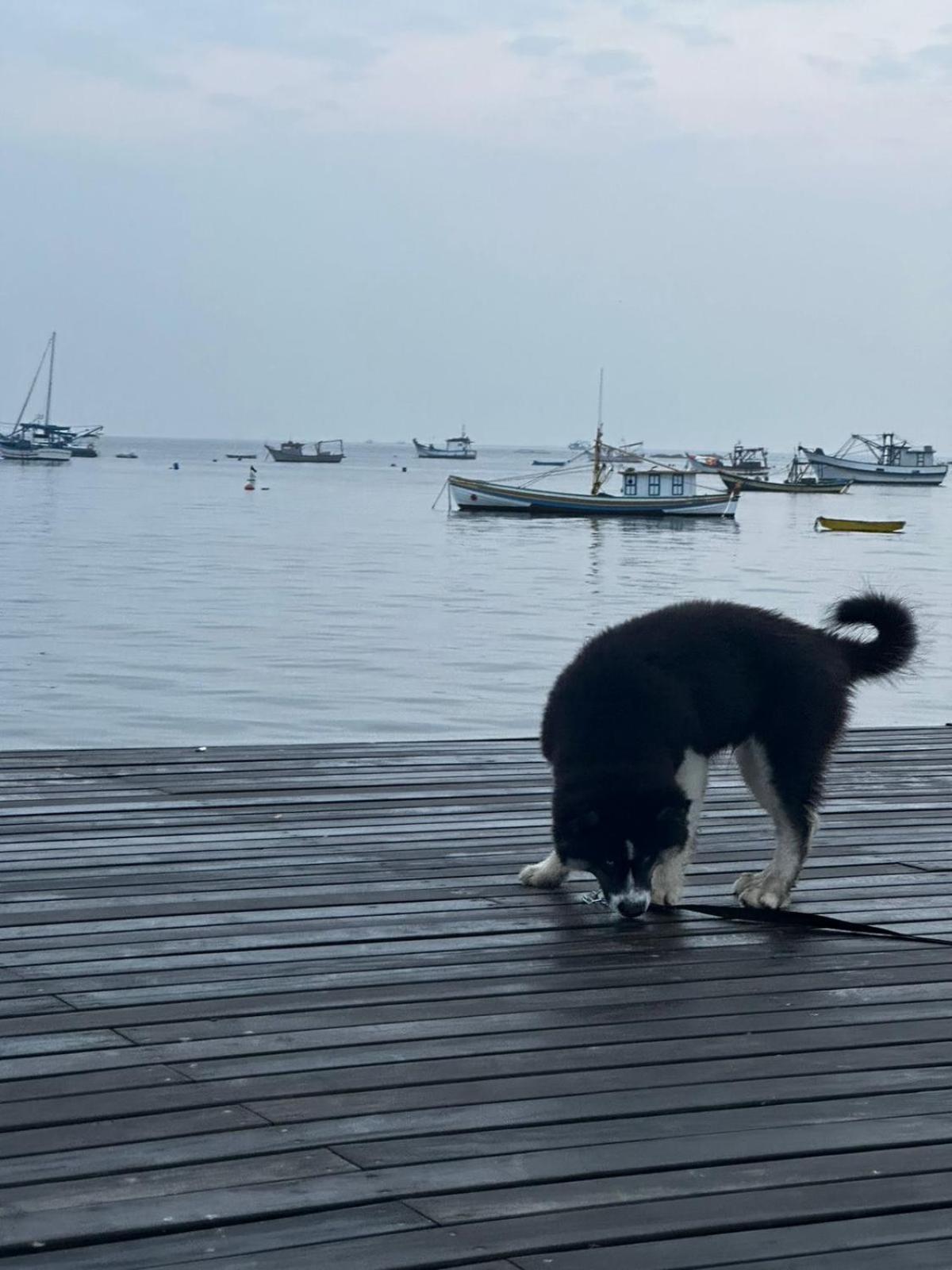 Pousada Refugio Paradisiaco 1 Piçarras Kültér fotó